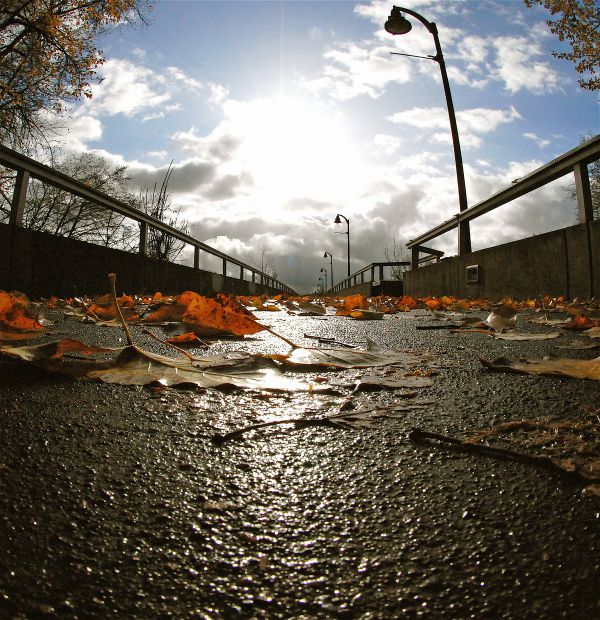 Pedestrian Bike Bridge  photoshop picture